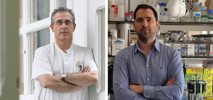 Lo último en investigación en diabetes de la mano del CIBERDEM en el Diabetes Experience Day