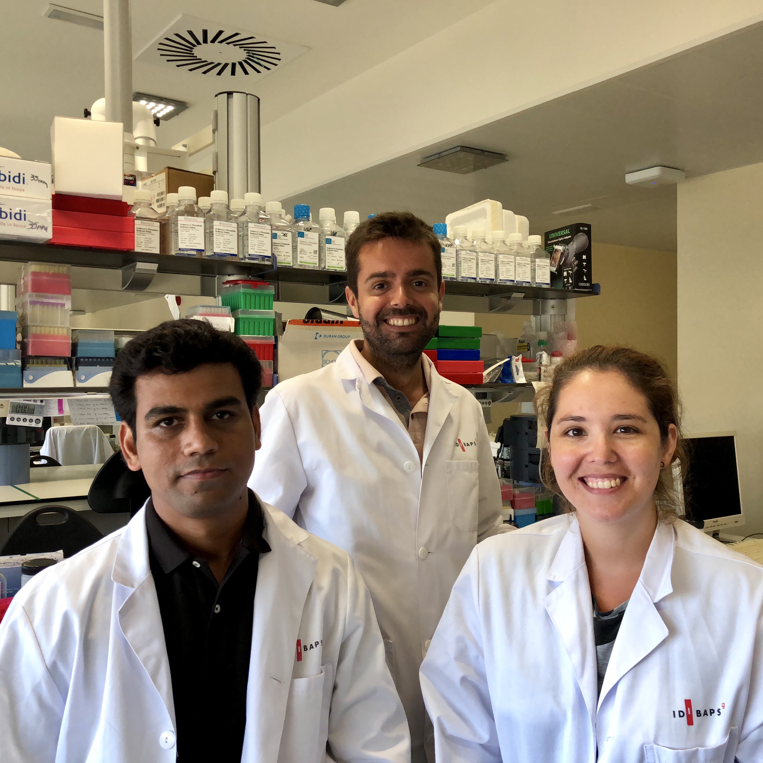 Demuestran la eficacia de las estatinas en las fases más avanzadas de la cirrosis en un modelo animal