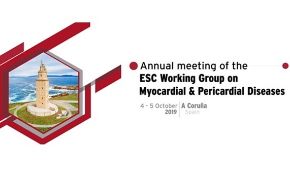 Investigadores del CIBERCV organizan la Reunión ESC del grupo de enfermedades miocárdicas y pericárdicas