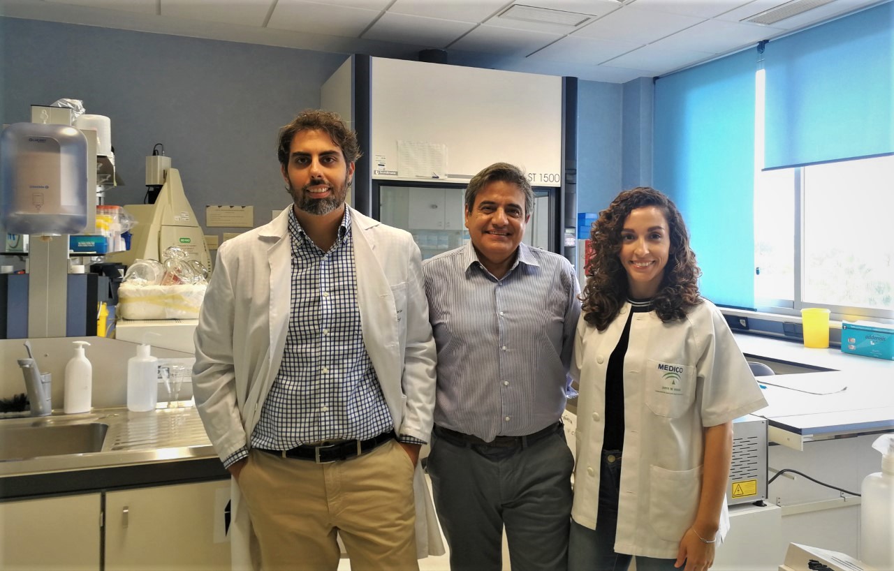 Relacionan la obesidad con el descenso de los niveles de testosterona en hombres