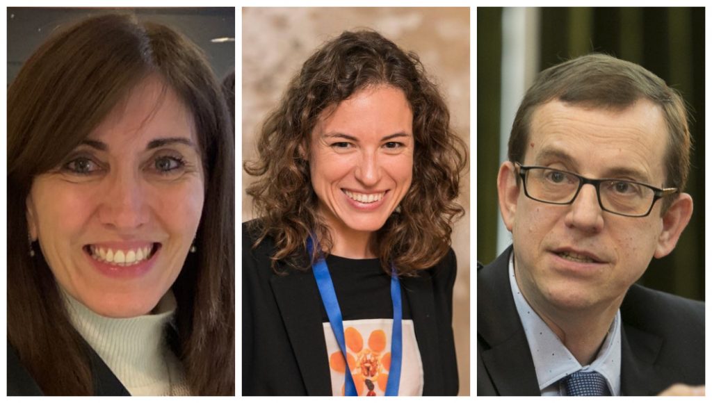 Un monográfico recoge las últimas actualizaciones sobre el concepto de alimentos ultraprocesados y sus efectos sobre la salud