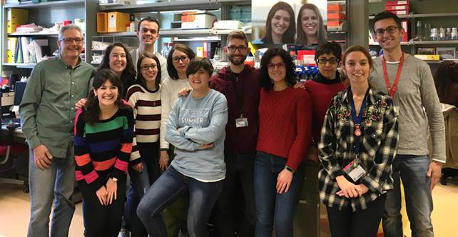 Buenos resultados clínicos preliminares del primer paciente con deficiencia en piruvato quinasa tratado con terapia génica