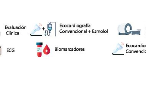 El CIBERCV coordina el proyecto bB-ECHO para estudiar la eficacia del esmolol en la identificación de alteraciones cardiovasculares