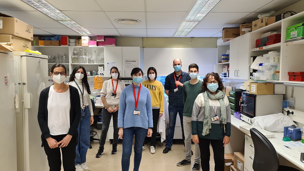 La eliminación de la proteína NOX4 mejora la regeneración del hígado