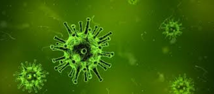 Evaluación del impacto de la pandemia por COVID-19 en el manejo del cáncer hepático