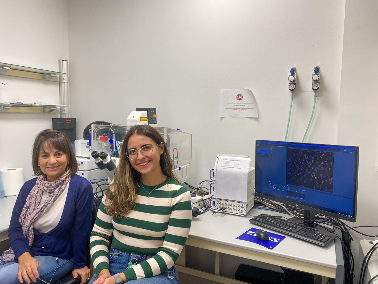 Desarrollan un modelo 3D del ecosistema tumoral mediante estrategias de bioimpresión
