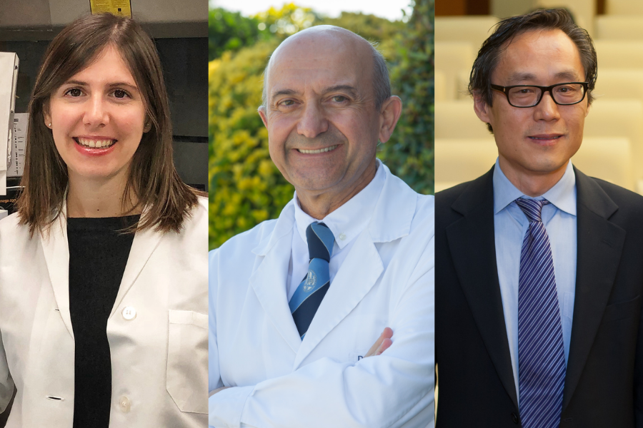 Los beneficios del aceite de oliva a largo plazo, avalados por primera vez en una investigación estadounidense