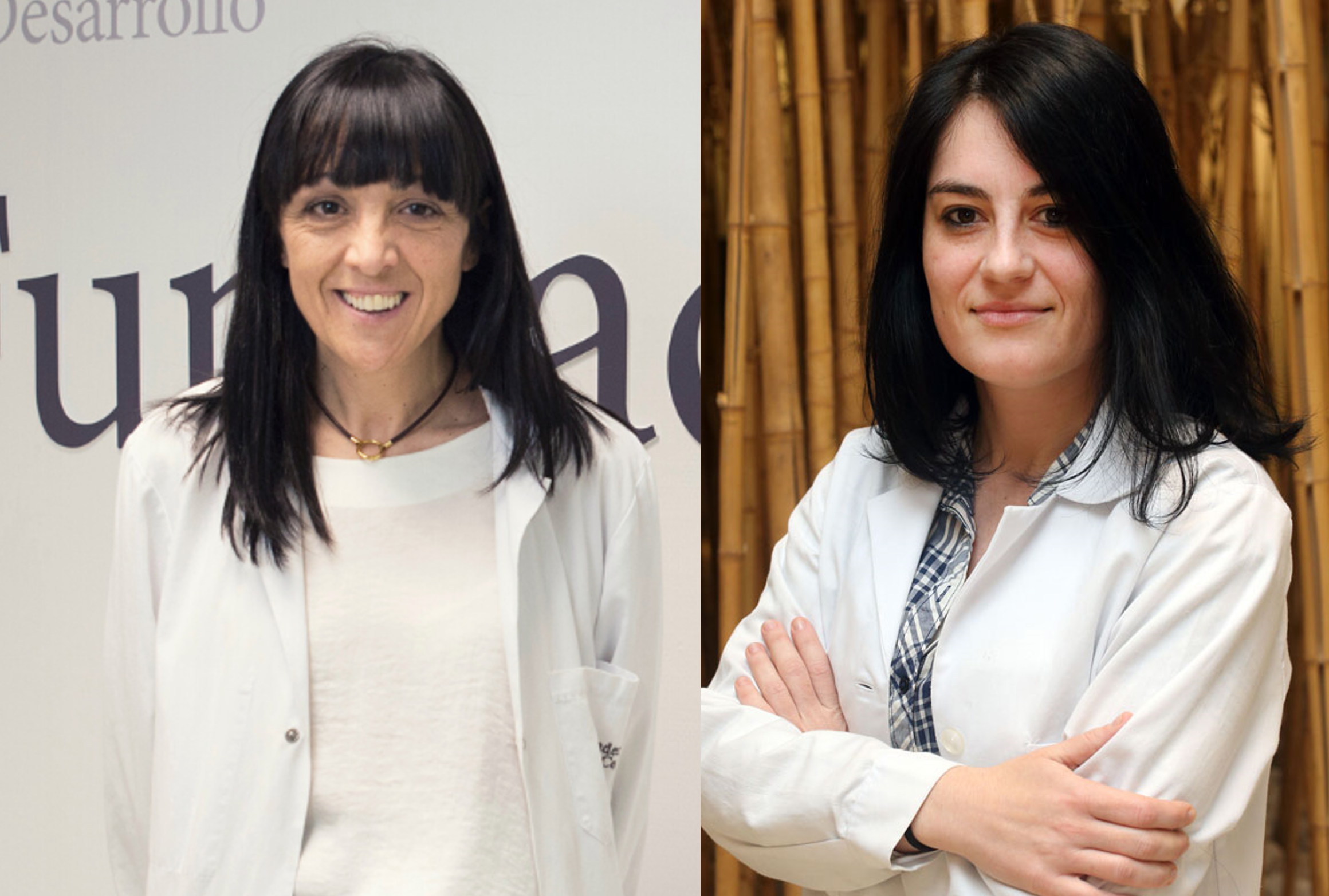 CIBERONC pone en marcha un proyecto para el manejo clínico personalizado del cáncer de endometrio