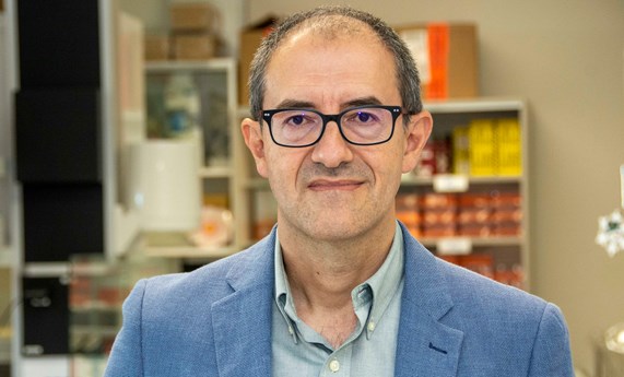 El CIBER de Infecciosas, dirigido por Jesús Oteo, cuenta con 46 grupos de investigación y 5 programas El CIBER de Infecciosas, dirigido por Jesús Oteo, cuenta con 46 grupos de investigación y 5 programas