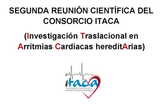Segunda reunión científica del Consorcio ITACA (Investigación Traslacional en Arritmias Cardiacas hereditArias)
