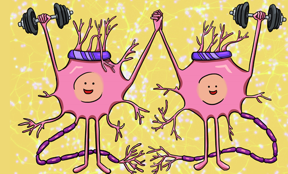 El ejercicio físico durante el envejecimiento protege la salud cerebral, pero la constancia es clave El ejercicio físico durante el envejecimiento protege la salud cerebral, pero la constancia es clave