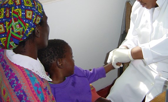 El estado basal del sistema inmune determina en gran medida la respuesta a la vacuna contra la malaria El estado basal del sistema inmune determina en gran medida la respuesta a la vacuna contra la malaria