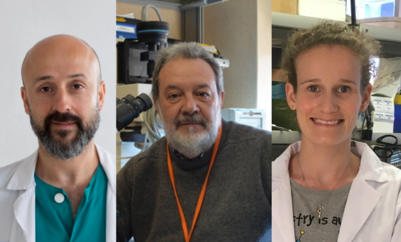 La inmunoterapia, posible opción terapéutica en el tratamiento del cáncer de ovario epitelial La inmunoterapia, posible opción terapéutica en el tratamiento del cáncer de ovario epitelial