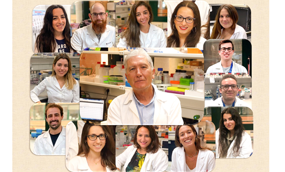 Avanzan en el estudio y la búsqueda de soluciones terapéuticas para la neurodegeneración asociada a PLA2G6 Avanzan en el estudio y la búsqueda de soluciones terapéuticas para la neurodegeneración asociada a PLA2G6