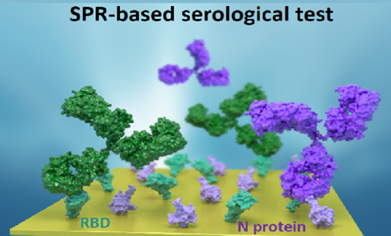 Un nanobiosensor clínicamente validado permite realizar pruebas serológicas rápidas y cuantitativas de la COVID-19 Un nanobiosensor clínicamente validado permite realizar pruebas serológicas rápidas y cuantitativas de la COVID-19