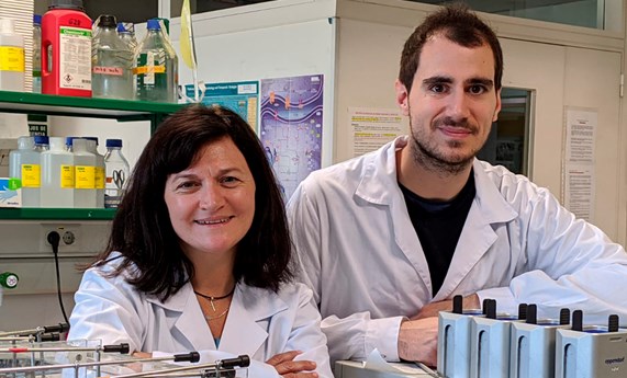 La acumulación de una proteína asociada al Parkinson en las neuronas de serotonina desencadena depresión y ansiedad La acumulación de una proteína asociada al Parkinson en las neuronas de serotonina desencadena depresión y ansiedad