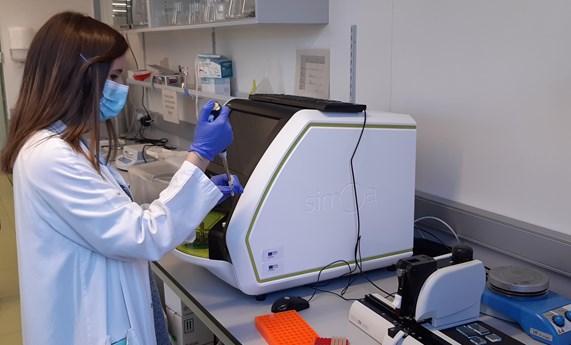 Proponen un biomarcador que puede resultar clave en el diagnóstico de brotes psicóticos Proponen un biomarcador que puede resultar clave en el diagnóstico de brotes psicóticos