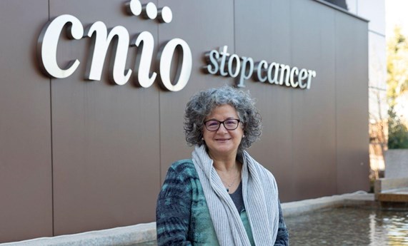 Un análisis de la microbiota intestinal abre una nueva vía para la detección temprana del cáncer de páncreas Un análisis de la microbiota intestinal abre una nueva vía para la detección temprana del cáncer de páncreas