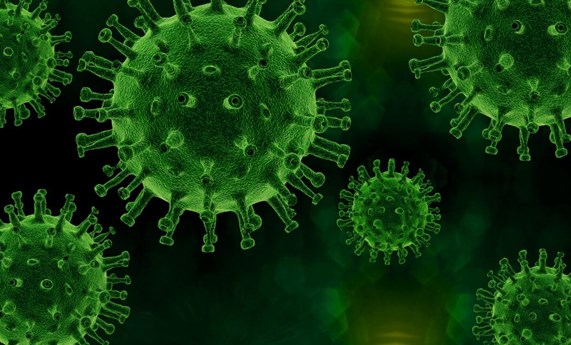 Obtención de nuevos inhibidores del virus de la hepatitis C mediante evolución in vitro Obtención de nuevos inhibidores del virus de la hepatitis C mediante evolución in vitro