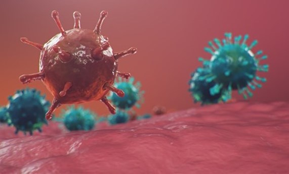 Mutaciones de ómicron ya existían en pacientes infectados meses antes de ser dominantes Mutaciones de ómicron ya existían en pacientes infectados meses antes de ser dominantes