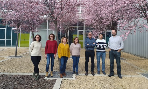 Logran desarrollar nanocápsulas para liberación controlada de fármacos y destrucción de células malignas mediante activación con luz Logran desarrollar nanocápsulas para liberación controlada de fármacos y destrucción de células malignas mediante activación con luz