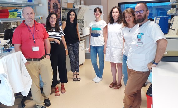 Descubren que la trombocitopenia hereditaria SRC-RT tiene analogías con enfermedades de carácter inmune Descubren que la trombocitopenia hereditaria SRC-RT tiene analogías con enfermedades de carácter inmune