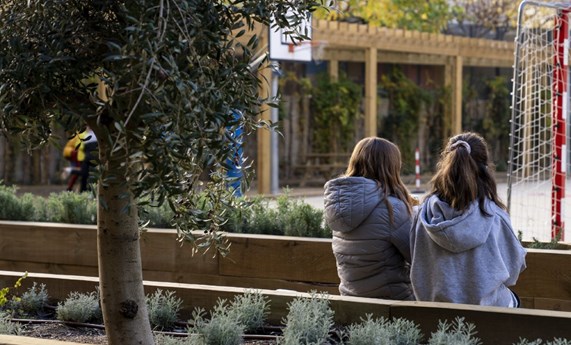 Las niñas con una exposición al bisfenol A en el vientre materno más elevada podrían tener mayor riesgo de asma y sibilancias durante la edad escolar Las niñas con una exposición al bisfenol A en el vientre materno más elevada podrían tener mayor riesgo de asma y sibilancias durante la edad escolar