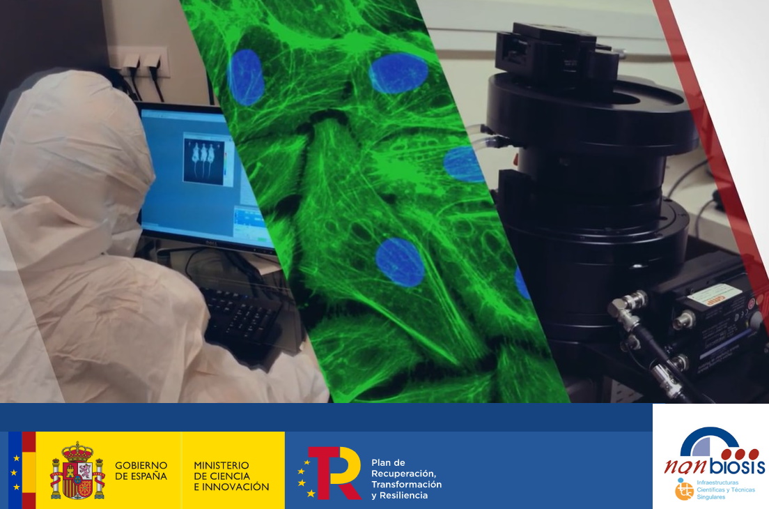 NANBIOSIS renueva su acreditación como Infraestructura Científica y Técnica Singular (ICTS)