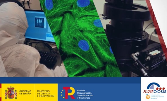 NANBIOSIS renueva su acreditación como Infraestructura Científica y Técnica Singular (ICTS) NANBIOSIS renueva su acreditación como Infraestructura Científica y Técnica Singular (ICTS)