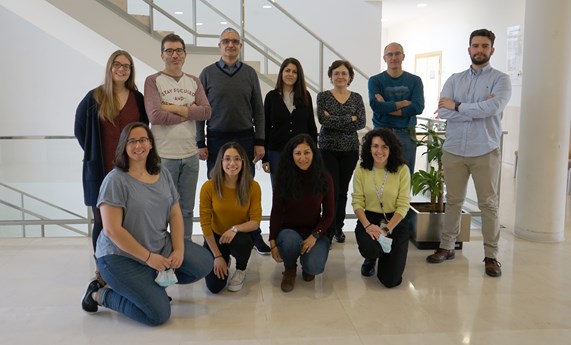 Identificadas dos proteínas que modulan el comportamiento de las células madre de la piel Identificadas dos proteínas que modulan el comportamiento de las células madre de la piel