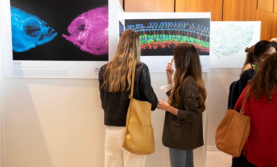 CIBERER inaugura una exposición de fotografía sobre investigación en enfermedades raras CIBERER inaugura una exposición de fotografía sobre investigación en enfermedades raras