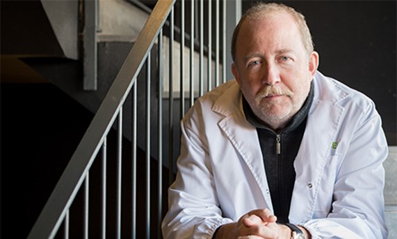 Descritas por primera vez las señales mecánicas implicadas en el desarrollo temprano de la corteza cerebral del ratón Descritas por primera vez las señales mecánicas implicadas en el desarrollo temprano de la corteza cerebral del ratón