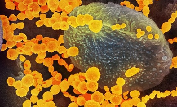 Las dosis de recuerdo de la vacuna contra la COVID-19 redujeron un 51% el riesgo de infección en España durante la ola de Ómicron Las dosis de recuerdo de la vacuna contra la COVID-19 redujeron un 51% el riesgo de infección en España durante la ola de Ómicron