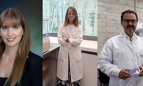 Describen los mecanismos genéticos por los que la bacteria A. pittii es resistente a distintos antibióticos Describen los mecanismos genéticos por los que la bacteria A. pittii es resistente a distintos antibióticos