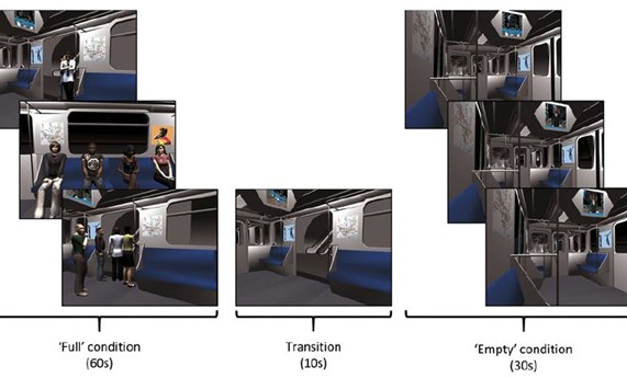 Estudian la implicación del área cerebral de la cognición social en los delirios Estudian la implicación del área cerebral de la cognición social en los delirios