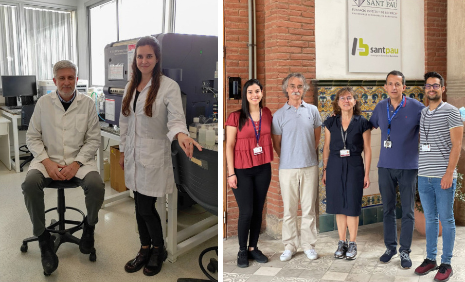 Apuntan a una nueva estrategia terapéutica para reducir la acumulación intramiocárdica de colesterol y mejorar la respuesta cardíaca a la insulina