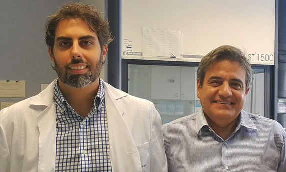 Un ensayo clínico evalúa diferentes tratamientos para los niveles bajos de testosterona en varones con obesidad Un ensayo clínico evalúa diferentes tratamientos para los niveles bajos de testosterona en varones con obesidad