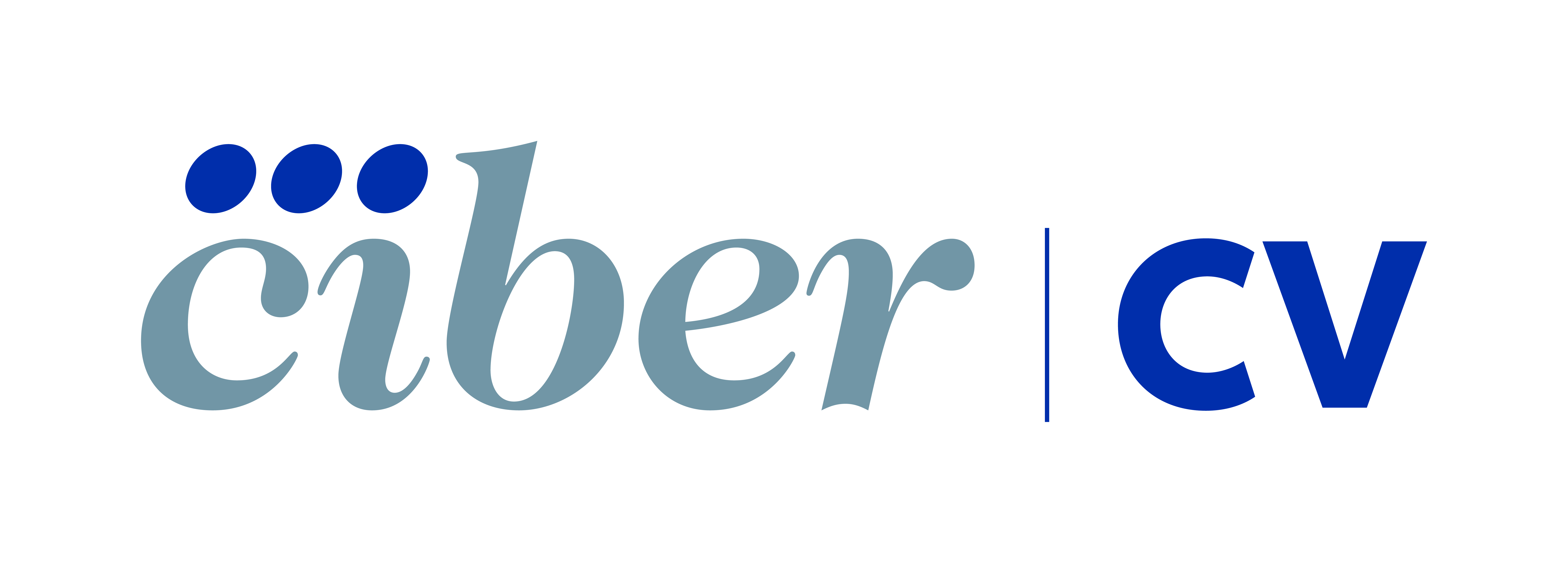 Reunión Anual CIBERCV 2023