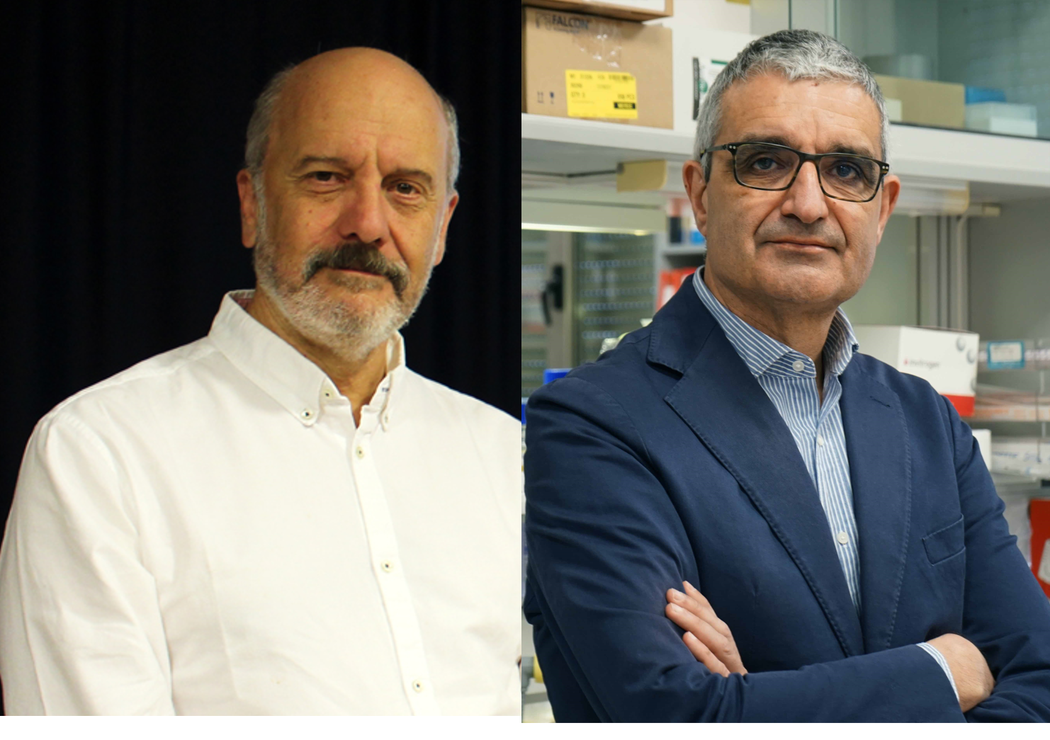 Descubren el motivo del fracaso de ciertos compuestos antitumorales y alumbran el mecanismo para hacerlos más efectivos