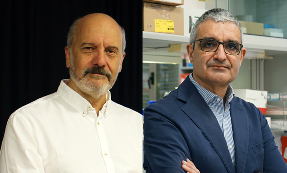 Descubren el motivo del fracaso de ciertos compuestos antitumorales y alumbran el mecanismo para hacerlos más efectivos Descubren el motivo del fracaso de ciertos compuestos antitumorales y alumbran el mecanismo para hacerlos más efectivos