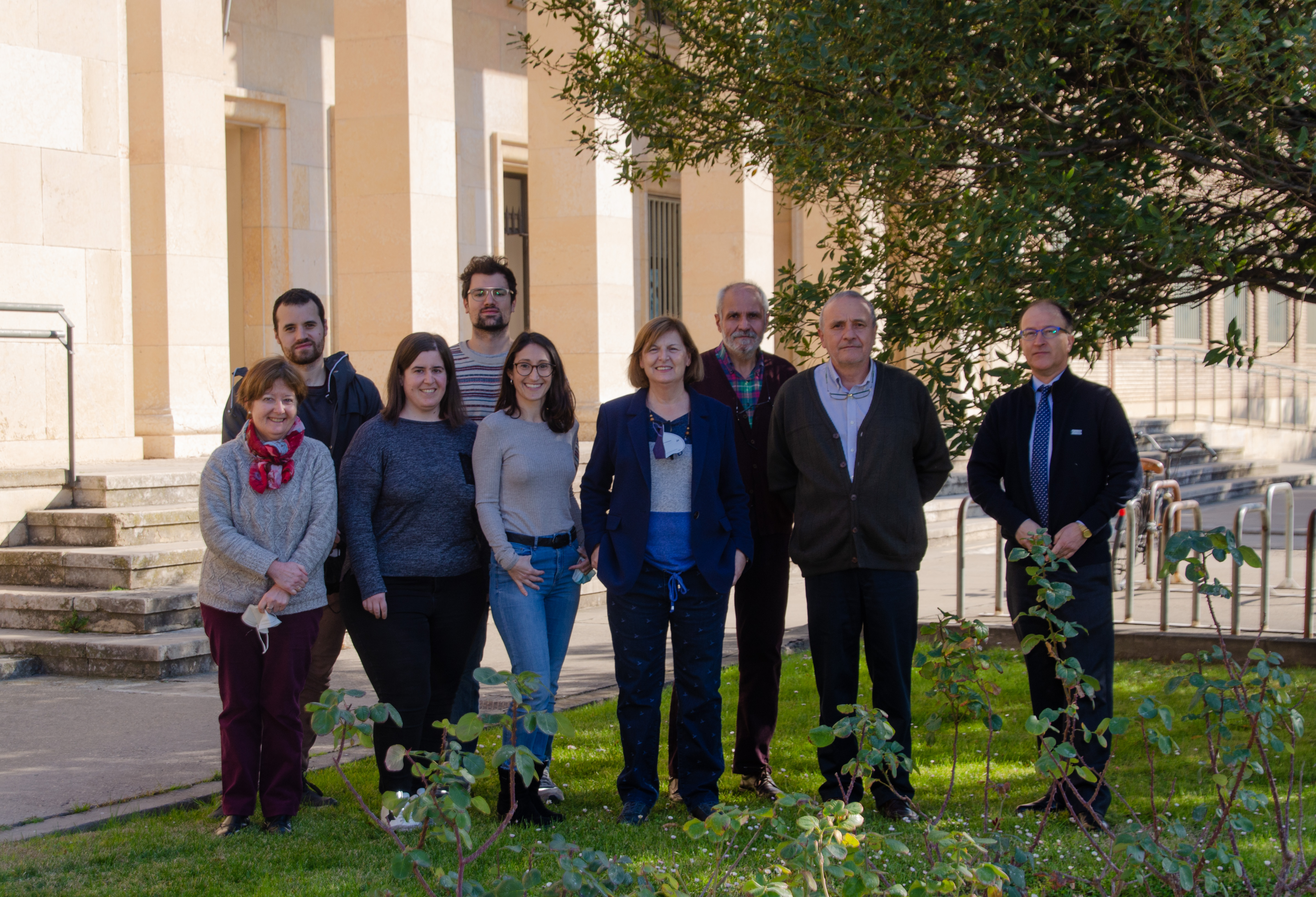 Confirmado en un modelo porcino el poder del escualeno, componente del aceite de oliva virgen, para controlar el hígado graso