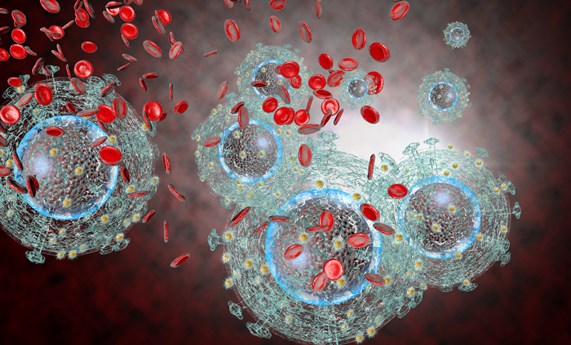 Equipos del CIBERINFEC y del CIBER-BBN lideran un estudio que identifica biomarcadores para prevenir los repuntes de la carga viral del VIH pediátrico Equipos del CIBERINFEC y del CIBER-BBN lideran un estudio que identifica biomarcadores para prevenir los repuntes de la carga viral del VIH pediátrico