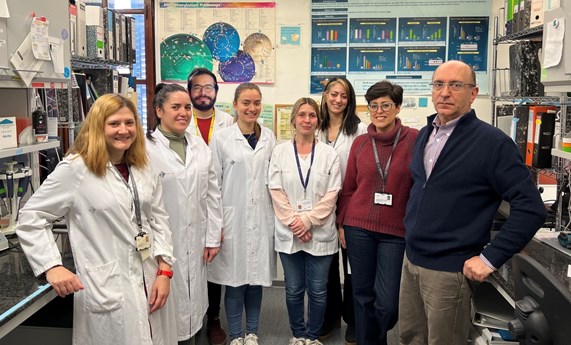 Nueva estrategia terapéutica para el tratamiento del aneurisma de aorta abdominal Nueva estrategia terapéutica para el tratamiento del aneurisma de aorta abdominal