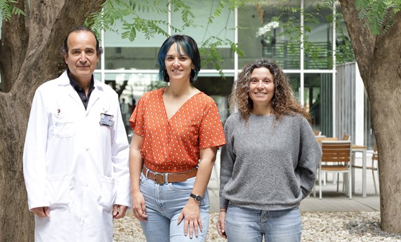 Descubren cómo un tipo de linfocito ‘recluta’ al sistema inmunitario para luchar contra el cáncer de mama más agresivo Descubren cómo un tipo de linfocito ‘recluta’ al sistema inmunitario para luchar contra el cáncer de mama más agresivo