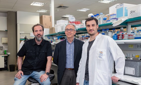 Abren una nueva vía para luchar contra la pérdida de masa muscular en el envejecimiento Abren una nueva vía para luchar contra la pérdida de masa muscular en el envejecimiento