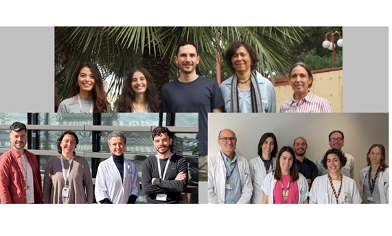 Proporcionan una comprensión más profunda del síndrome de TRAF7 que permitirá mejorar el manejo clínico Proporcionan una comprensión más profunda del síndrome de TRAF7 que permitirá mejorar el manejo clínico