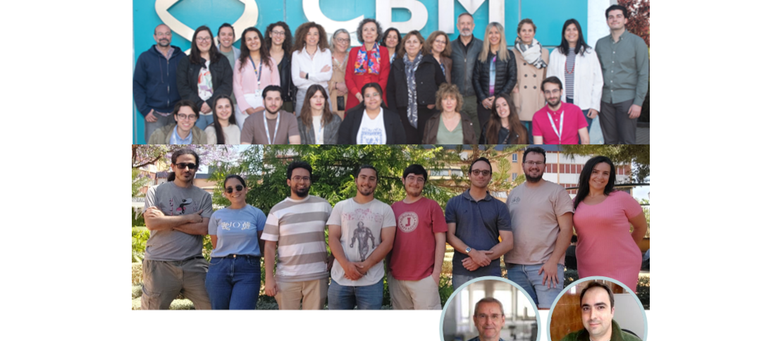 Descubren una potencial diana terapéutica para la enfermedad metabólica rara PMM2-CDG