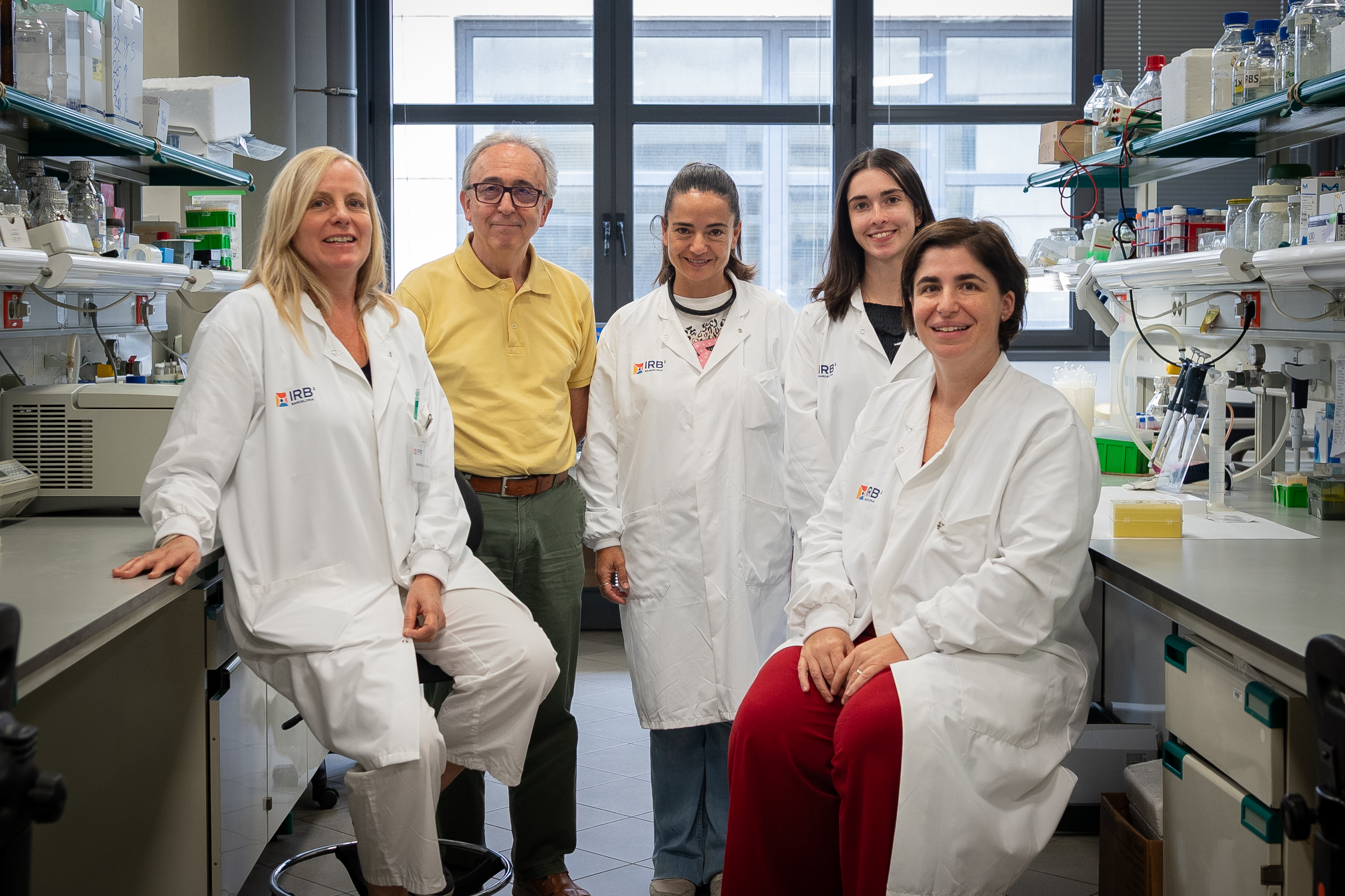 Nueva estrategia para combatir la obesidad mediante la activación de la grasa parda