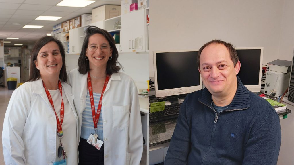 Un antioxidante natural amplía su potencial terapéutico: de una enfermedad minoritaria al tratamiento de otros tipos de piedras en el riñón