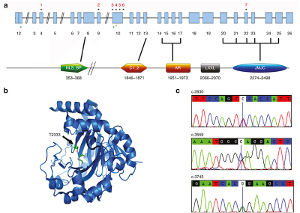 Hallan un nuevo gen asociado al síndrome de Rett y discapacidad intelectual